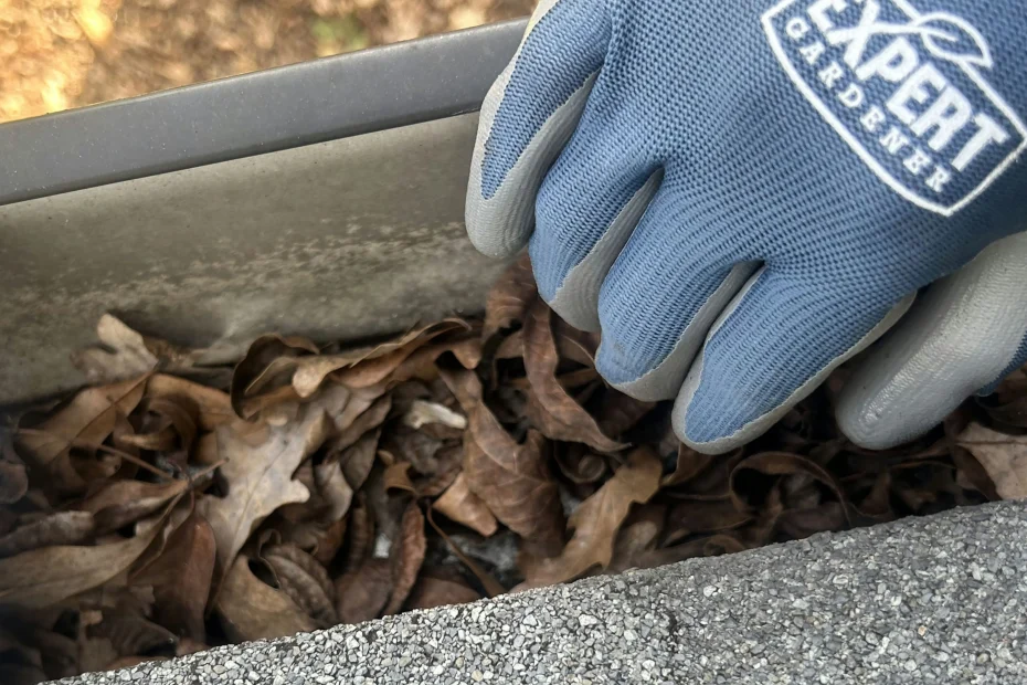 Gutter Cleaning Burke